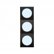 Berker Triple Frame - Flow Design -Anthracite