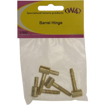 W4 Pack of Two 25mm Brass Barrel Hinge (Pack of Two)