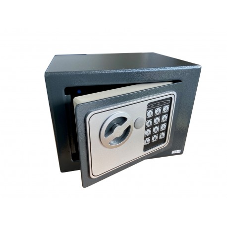 Carasafe Premier Compact Electronic Safe