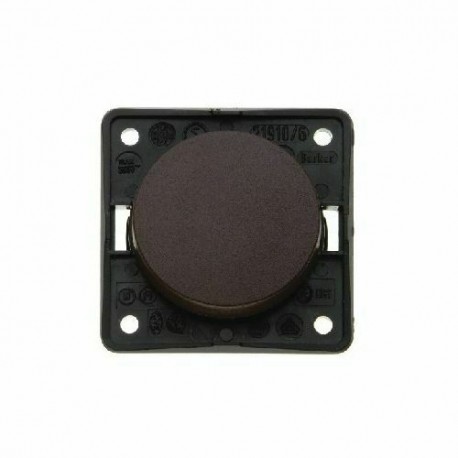 Berker Single Rocker Switch