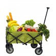 Quest Atlas Collapsible Carry Trolley Cart