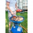 Campingaz Party Grill® 600 stove