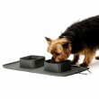 Portable Dog Water Bowl and Mat - Grey