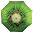 Sun Parasol / Umbrella - Kiwi Design