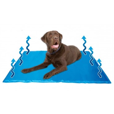 Dog Cool Mat - Gel Filled - 60 x 40cm