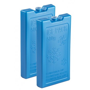 500g x 2 - Ice Pack / Freeze Block for Cool Bags & Cool Boxes