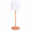 Vechline Shine LED Table Lamp - Wood Finish