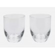 Clear Plastic Drinking Glass - Pack of Two