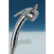 Reich Charisma Shower Spout Head