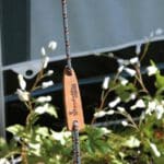 900060223 Isabella Typhoon Guyline & Runner Set