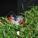 Isabella Windbreak Four Sided - North