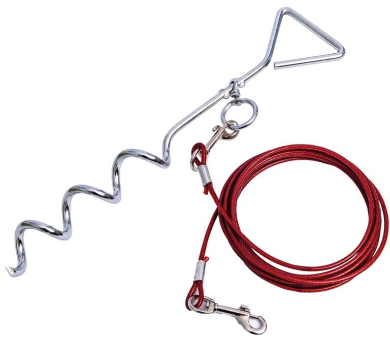 Quest Pet Anchor with 4mtr Lead