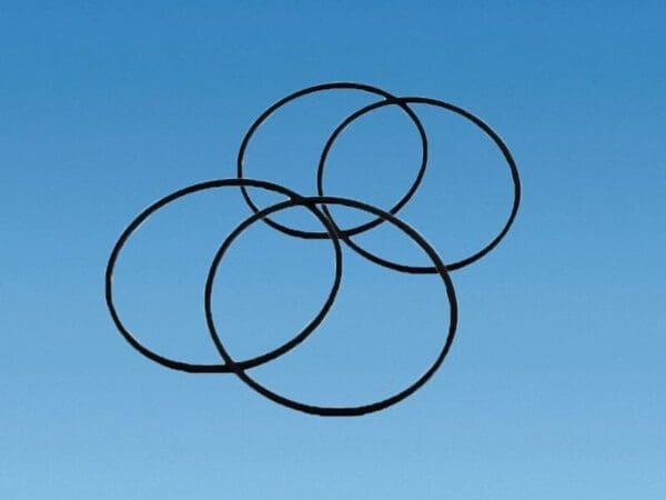 O' Rings Kit for Truma Ultraflow Pistol Grip Water Connect