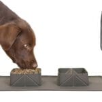 Portable Dog Water Bowl and Mat - Grey