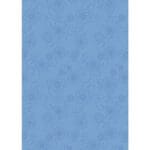 Coleman Lotus Small One Season Summerweight Single Sleeping Bag