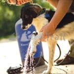 Solar Shower with Foot Pump - Heated Pressurised