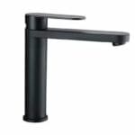 Reich Linea L Kitchen Black Tap with Microswitch