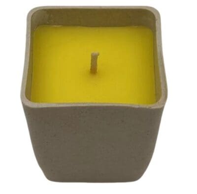 Citronella Candle - Cream